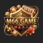 M66 Game