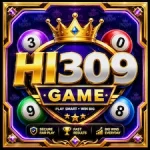 HI309 Game